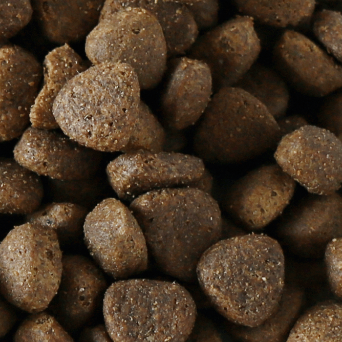 Millies Wolfheart | 60/40 Ranger Mix