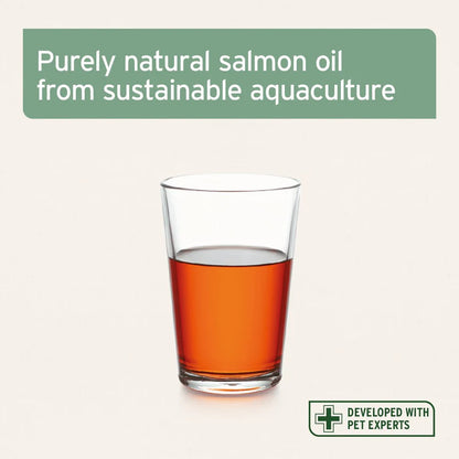 Aniforte | Salmon Oil for Dogs, Cats, Horses 100ml