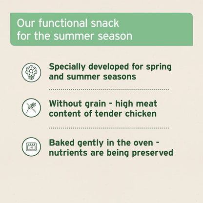 Aniforte | Summer Season Snack 50g