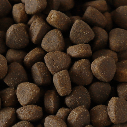 Millies Wolfheart | 70/30 Surf & Turf