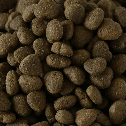 Millies Wolfheart | 40/60 Alert Mix